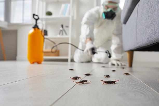 Commercial Rodent Management in West Nyack